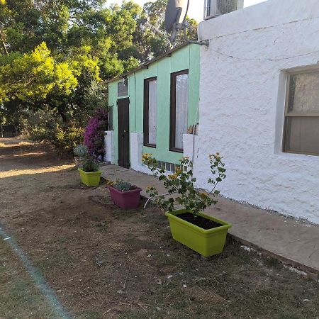 فيلا Casa Carlo ألغيرو المظهر الخارجي الصورة