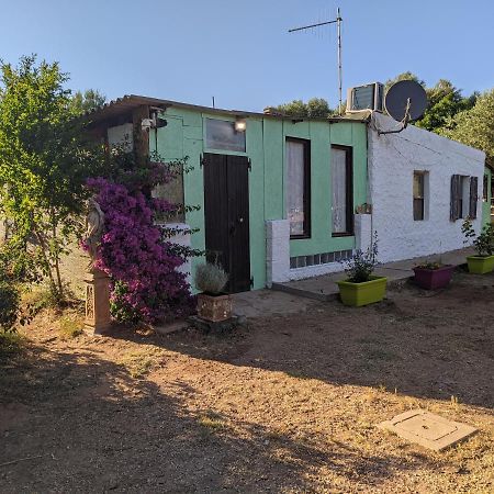 فيلا Casa Carlo ألغيرو المظهر الخارجي الصورة