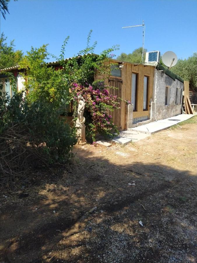 فيلا Casa Carlo ألغيرو المظهر الخارجي الصورة