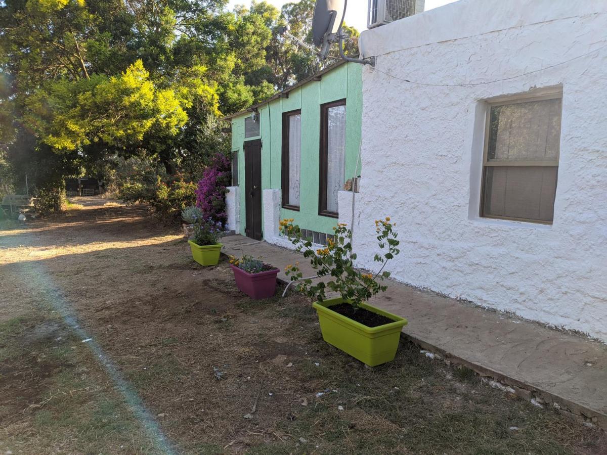 فيلا Casa Carlo ألغيرو المظهر الخارجي الصورة
