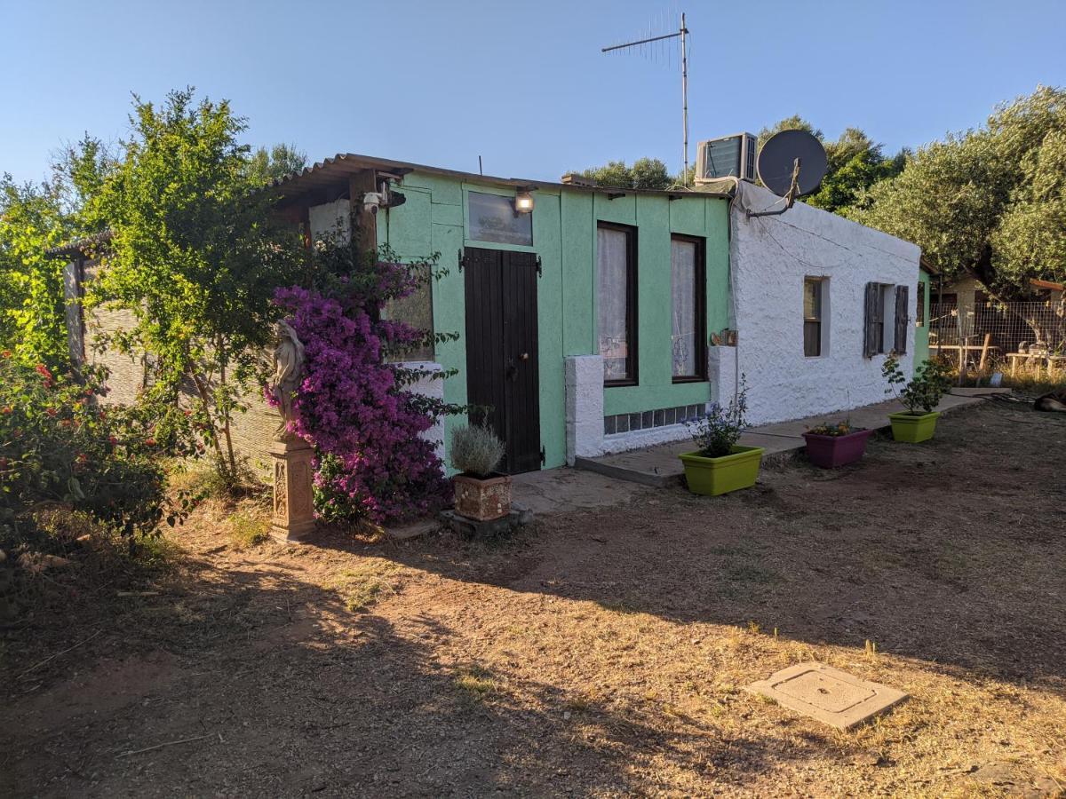 فيلا Casa Carlo ألغيرو المظهر الخارجي الصورة